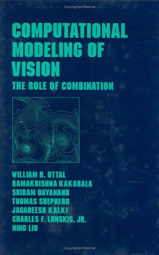 Computational modeling of vision : the role of combination