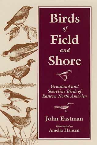 Birds of field and shore : grassland and shoreline birds of eastern North America