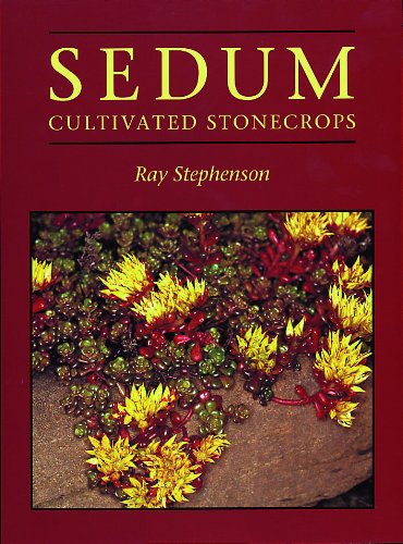 Sedum : cultivated stonecrops