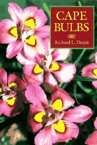 Cape bulbs