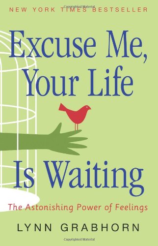 Excuse me, your life is waiting : the astonishing power of feelings