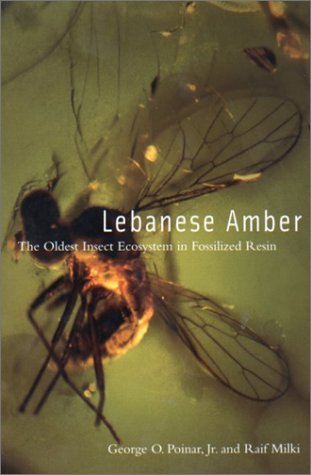 Lebanese amber : the oldest insect ecosystem in fossilized resin