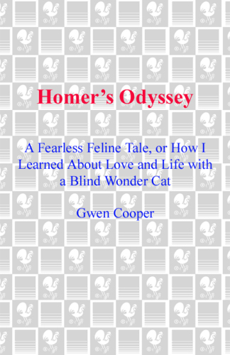 Homer's Odyssey