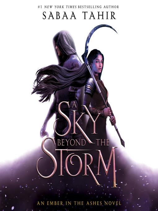 A Sky Beyond the Storm