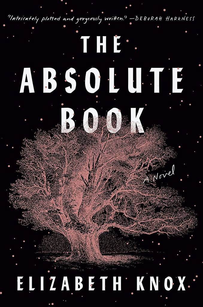 The Absolute Book: A Novel