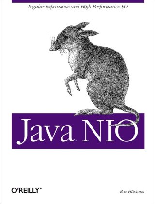 Java Nio