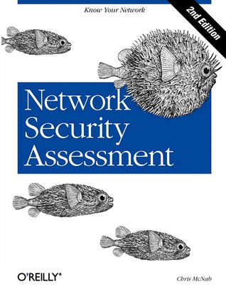 Network Security Assessment