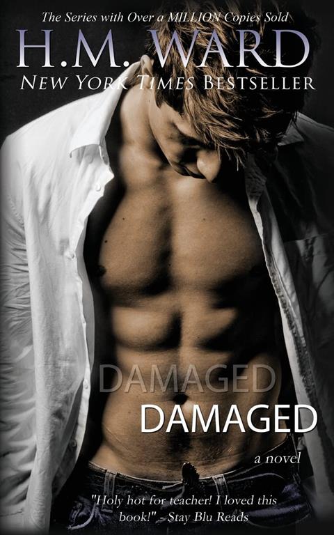 Damaged (Volume 1)