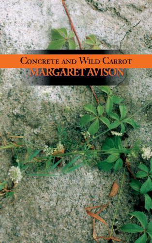 Concrete and wild carrot