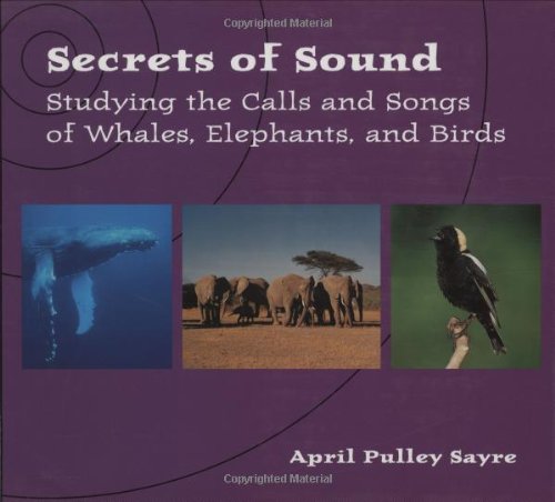 Secrets of Sound