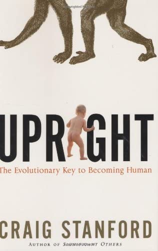 Upright: The Evolutionary Key to Becoming Human