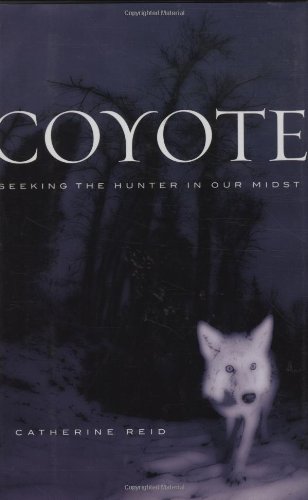 Coyote