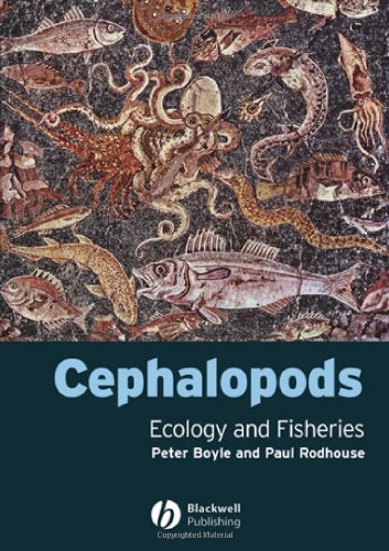 Cephalopods