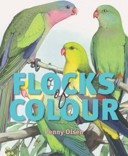 Flocks of Colour