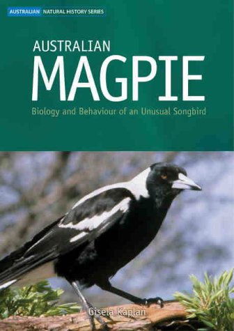 Australian Magpie [op]