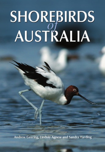 Shorebirds of Australia