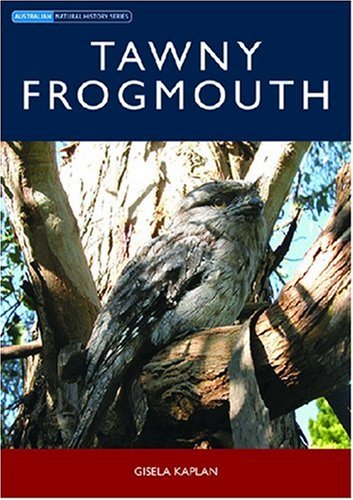 Tawny frogmouth