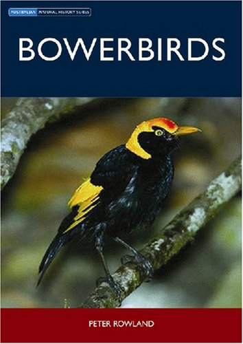 Bowerbirds