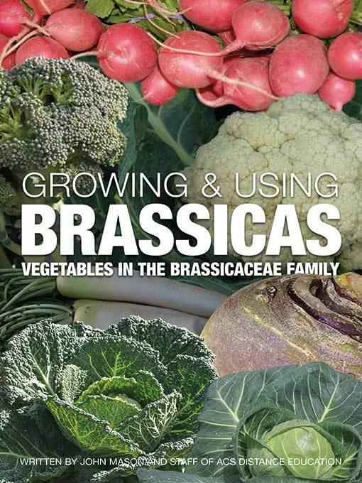 Growing and Using Brassicas