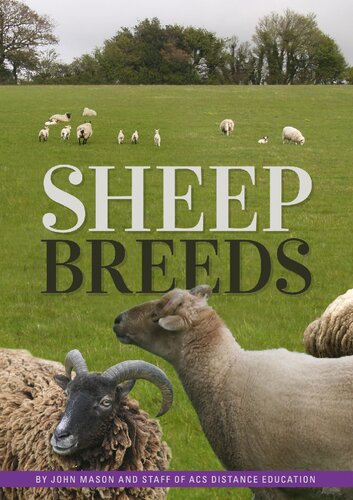 Sheep Breeds