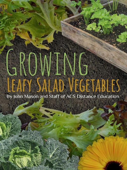 Growing Leafy Salad Vegetables