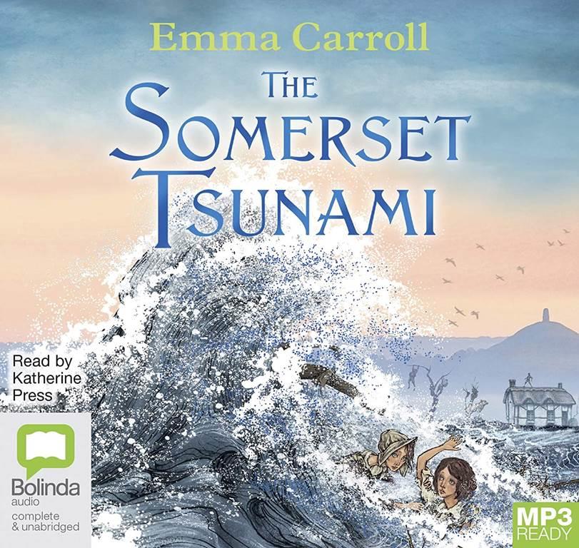 The Somerset Tsunami