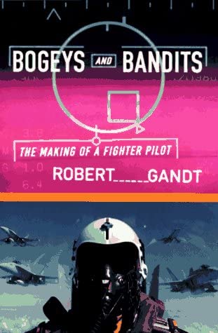 Bogeys and Bandits: The Making of a Fighter Pilot