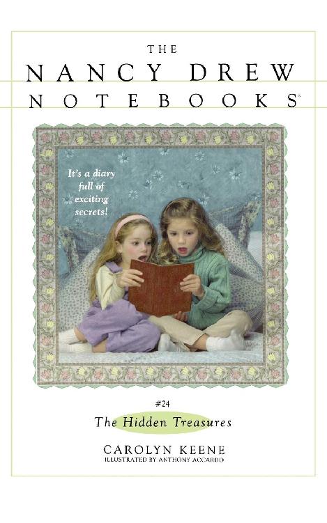 The Hidden Treasures (Nancy Drew Notebooks #24)