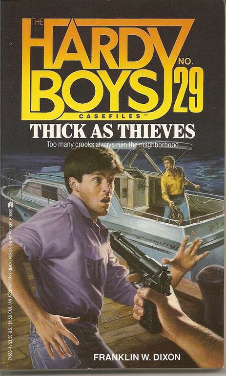 THICK AS THIEVES (HARDY BOYS CASE FILE 29) (Hardy Boys Casefiles)