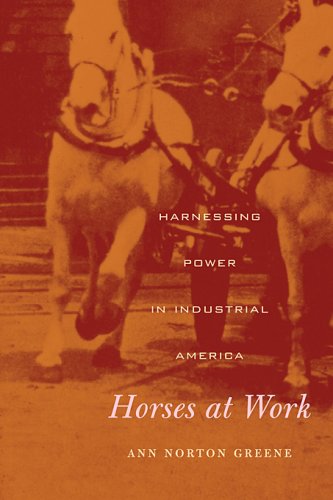 Horses at Work