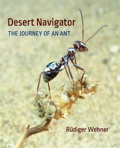 Desert Navigator