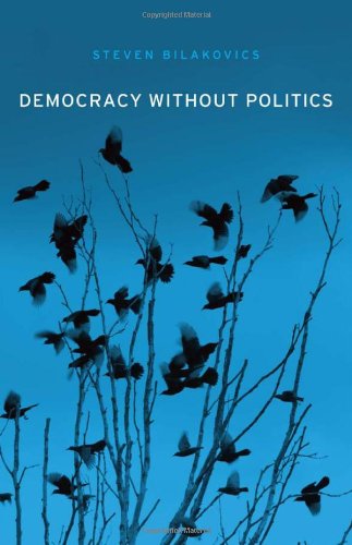 Democracy Without Politics