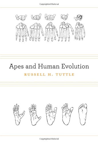 Apes and Human Evolution