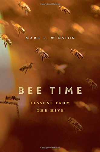 Bee Time