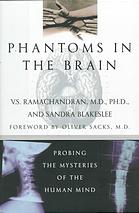 Phantoms in the Brain