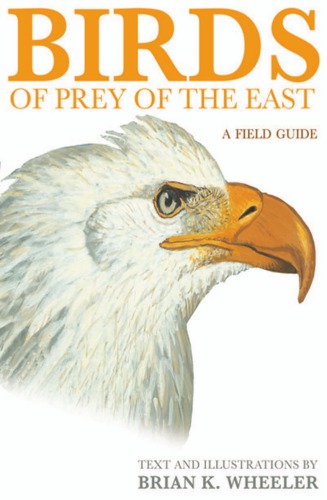 Birds of Prey of the East: A Field Guide