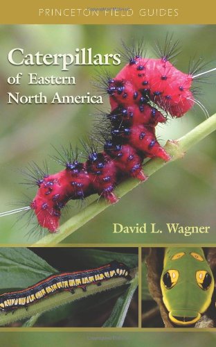 Caterpillars of Eastern North America