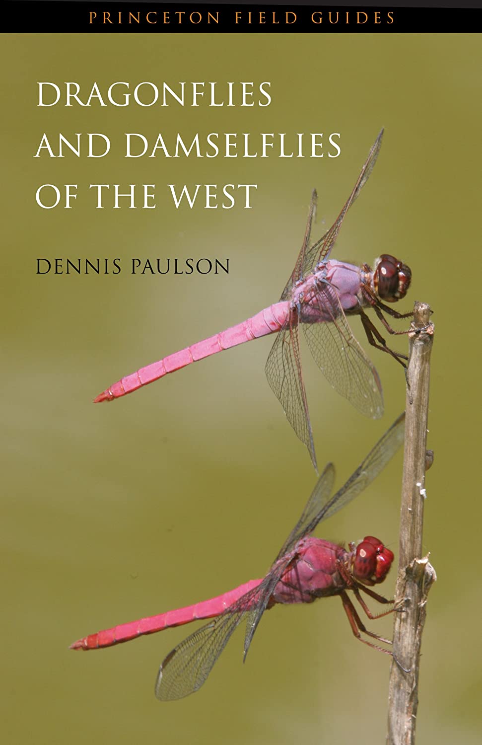 Dragonflies and Damselflies of the West (Princeton Field Guides, 47)