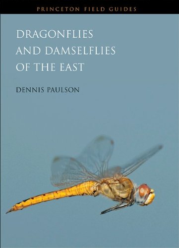 Dragonflies and Damselflies of the East