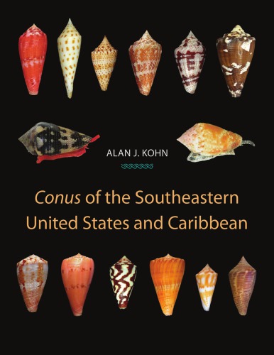 &quot;Conus&quot; of the Southeastern United States and Caribbean