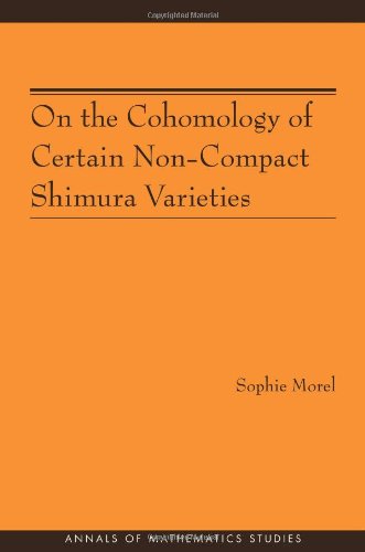 On the Cohomology of Certain Non-Compact Shimura Varieties