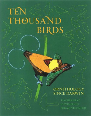 Ten Thousand Birds