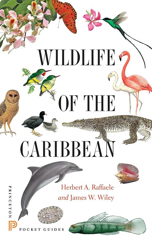 Wildlife of the Caribbean