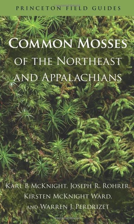 Common Mosses of the Northeast and Appalachians