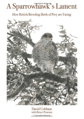 A Sparrowhawk's Lament