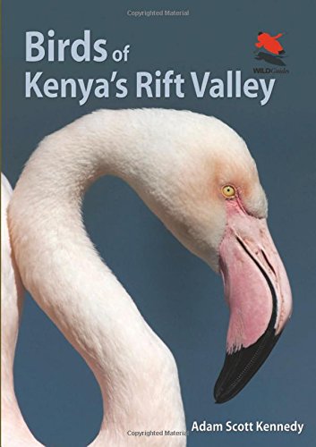 Birds of Kenya's Rift Valley