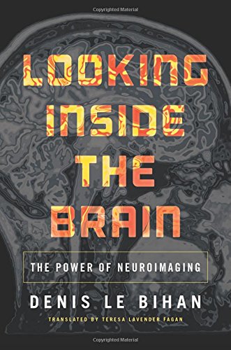 Looking Inside the Brain