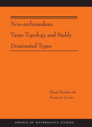 Non-Archimedean Tame Topology and Stably Dominated Types (Am-192)