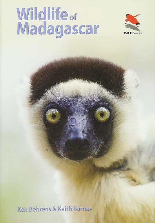 Wildlife of Madagascar