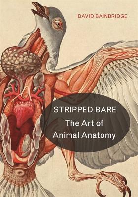 Stripped Bare